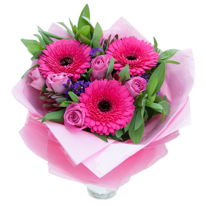 A lovingly composed bouquet that captures both playful exuberance and refined tenderness, set against a crisp white background so every detail reads with clarity. Three exuberant Gerbera daisies in a striking fuchsia take centre stage, their layered petals fanning out around deep, nearly black centres that anchor the arrangement with bold contrast. Soft lavender-pink roses-appearing in muted, dusty-rose tones-nestle close, each bloom held gently in a semi-budded state that suggests freshness and slow unfolding scent. Scattered among the larger flowers are tiny sprays of purple statice, adding an airy, textured punctuation like wildflowers tucked into a garden posy. Broad, lush greenery-reminding one of salal and eucalyptus-fans out behind the flowers, its cool green tones and subtle leaf aroma giving weight and a natural backdrop. The bouquet is wrapped in a tender layering of pale-matte pink tissue beneath a crinkled, translucent fuchsia-pink cellophane that catches the light with a soft shimmer; the wrap is folded neatly, reflecting considered handling by an experienced florist. A clear glass vase rim is just visible at the bottom, indicating the bouquet is prepared for immediate display on a mantel or dining table. Picture it arriving at a home near the Kings Langley High Street or brightening a flat close to the station-this arrangement reads as a warm celebration, ideal for birthdays, anniversaries, or simply sending a message of affection and encouragement with a fresh, floral embrace.